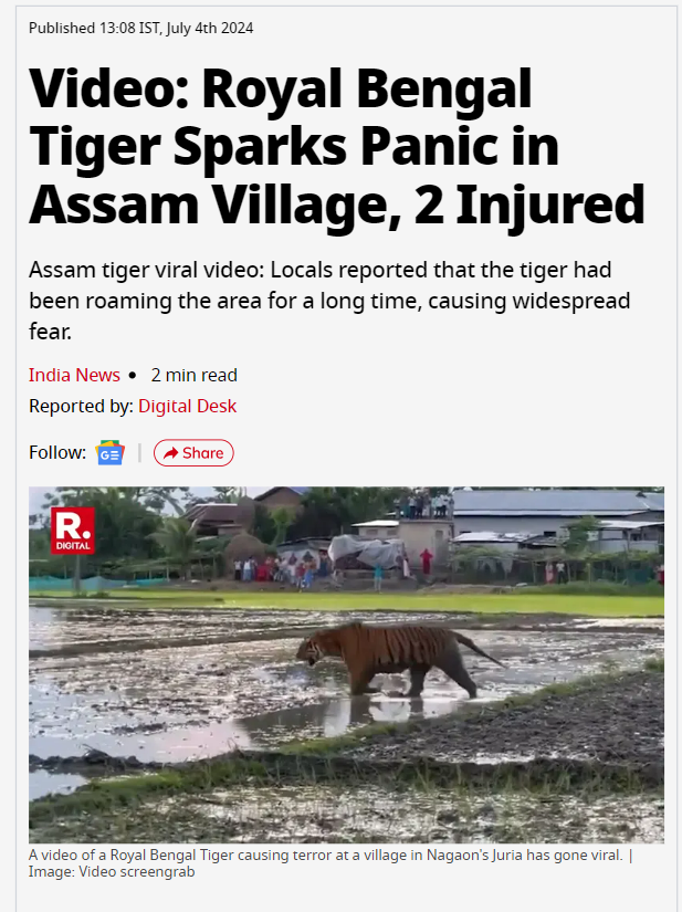 a tiger walking in a muddy field